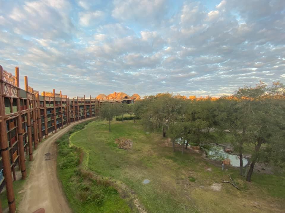 Jambo House Deluxe Studio | View From The Studio's Balcony