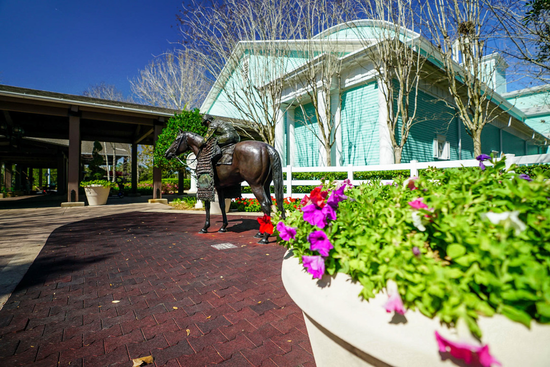 Saratoga Springs Resort | Entrance Of Saratoga Springs Resort