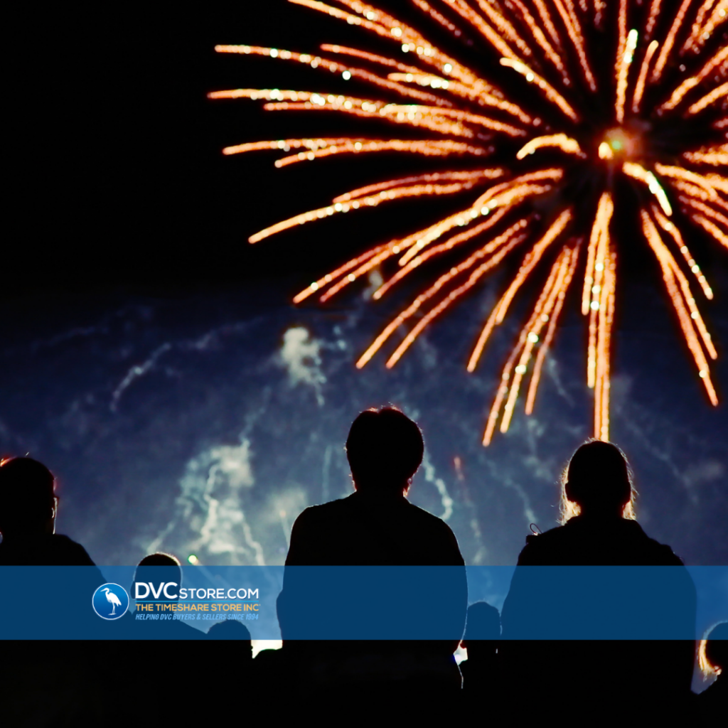 Disney Watching Fireworks