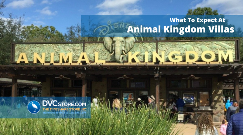 What to expect at Animal Kingdom Villas