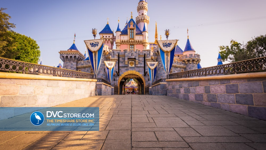 D23 Recap for DVC Fans | More Disneyland Updates