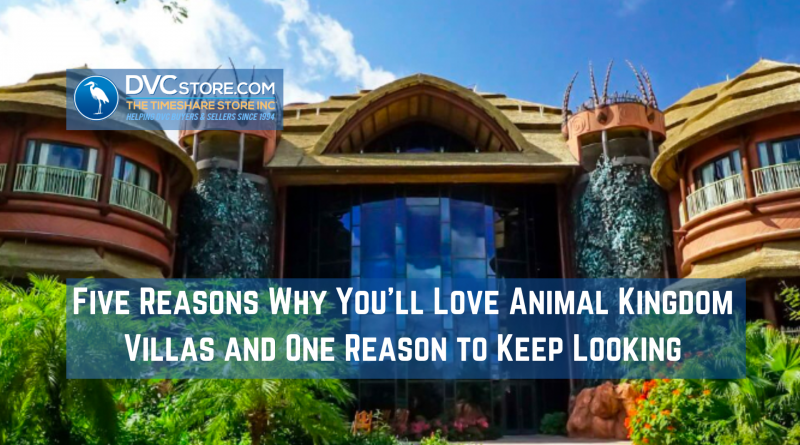 Five Reasons Why You'll Love Animal Kingdom Vills and One Reason to Keep Looking