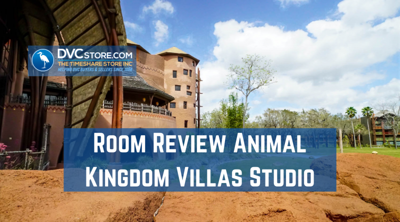 Room Review Animal Kingdom Villas Studio