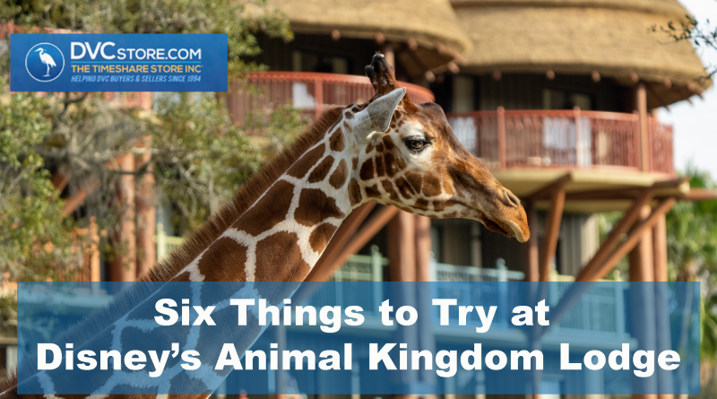 Six Things to Try at the Disney Animal Kingdom Lodge | DVC Store Blog