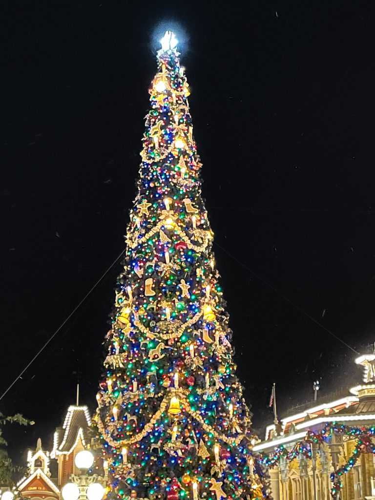Magic Kingdom Christmas Tree