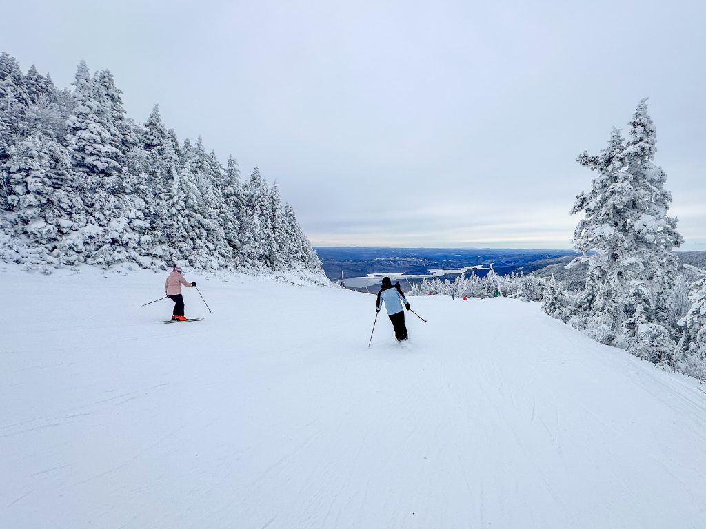 Two skiers skiing down a snow field mountain full of trees withTwo skiers skiing down a snow field mountain full of trees covered in snow. covered in snow.