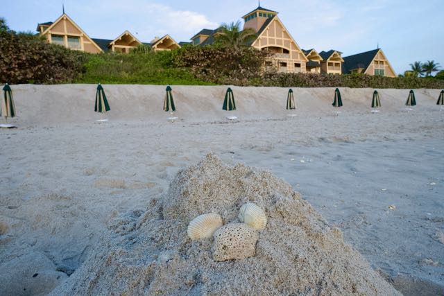 Disney Vero Beach Resort  