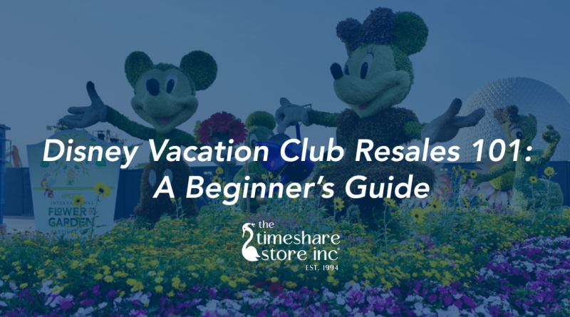 Disney Vacation Club Resales 101: A Beginner’s Guide
